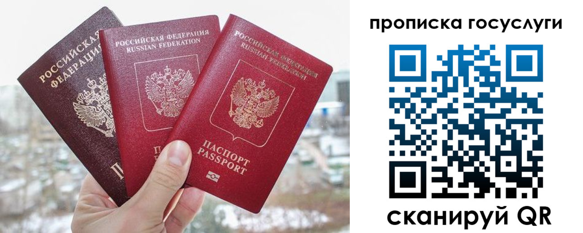 прописка законно в Обояни